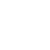 Bosio Auto